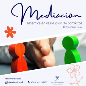 Taller Mediación sistémica - Instituto Asgard